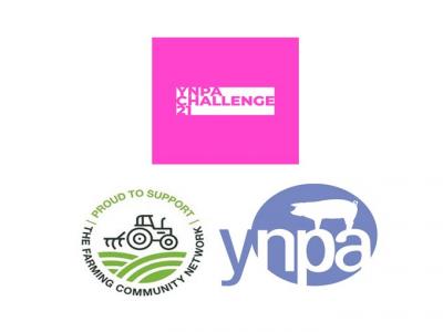 YNPA challenge 3 logos